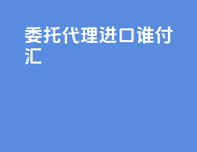 委托代理进口谁付汇