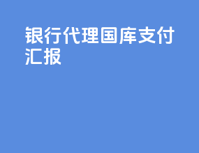 银行代理国库支付汇报