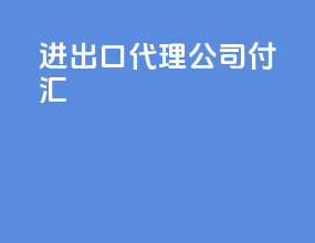 进出口代理公司付汇