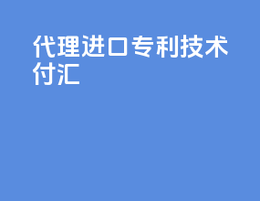 代理进口专利技术付汇