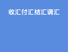 收汇付汇结汇调汇