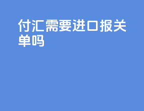 付汇需要进口报关单吗
