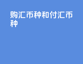 购汇币种和付汇币种
