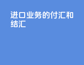进口业务的付汇和结汇