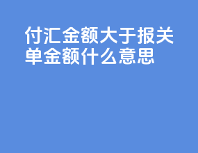 付汇金额大于报关单金额什么意思