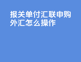 报关单付汇联申购外汇怎么操作