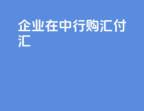企业在中行购汇付汇
