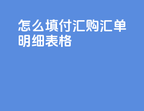 怎么填付汇购汇单明细表格