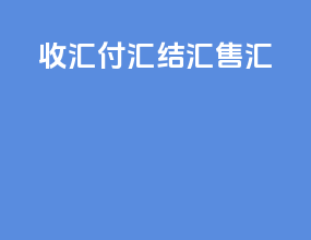 收汇付汇结汇售汇