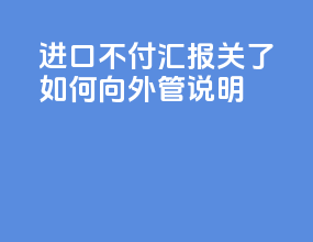 进口不付汇报关了如何向外管说明