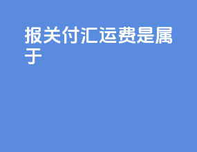 报关付汇运费是属于