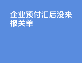 企业预付汇后没来报关单
