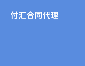 付汇合同代理