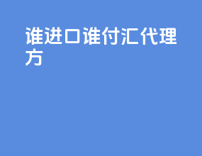 谁进口谁付汇代理方