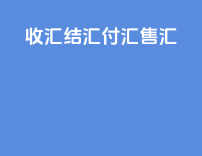 收汇结汇付汇售汇