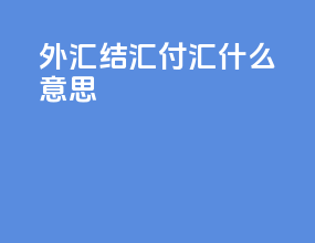 外汇结汇付汇什么意思