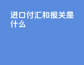 进口付汇和报关是什么