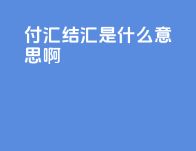 付汇结汇是什么意思啊