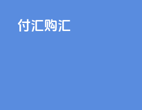 付汇 购汇
