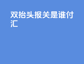 双抬头报关是谁付汇