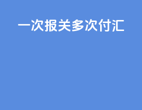 一次报关多次付汇
