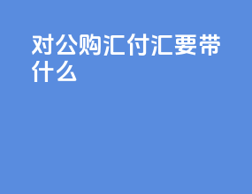 对公购汇付汇要带什么