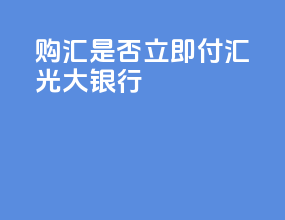 购汇是否立即付汇光大银行