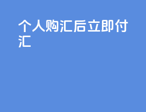 个人购汇后立即付汇