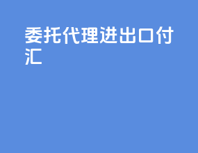 委托代理进出口付汇