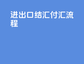 进出口结汇付汇流程