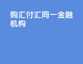 购汇付汇 同一金融机构