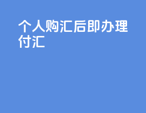 个人购汇后即办理付汇