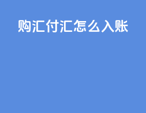购汇付汇怎么入账
