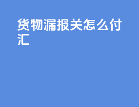 货物漏报关怎么付汇