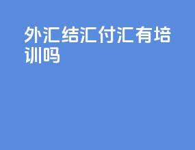 外汇结汇付汇有培训吗