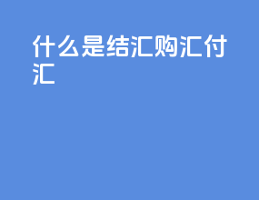 什么是结汇购汇付汇