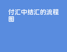 付汇中结汇的流程图