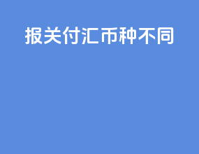 报关 付汇 币种不同
