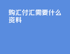 购汇付汇需要什么资料