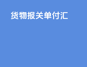 货物报关单付汇