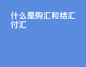 什么是购汇和结汇付汇