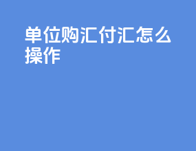 单位购汇付汇怎么操作