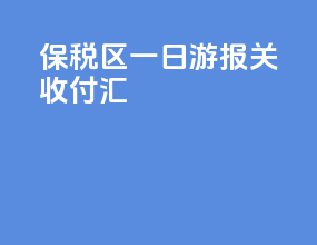 保税区一日游报关收付汇