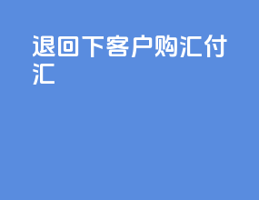 退回下客户购汇付汇