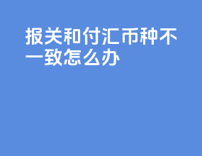 报关和付汇币种不一致怎么办