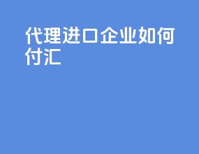 代理进口企业如何付汇