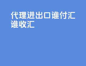 代理进出口谁付汇谁收汇