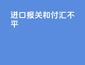 进口报关和付汇不平