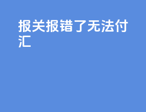 报关报错了无法付汇