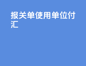 报关单使用单位付汇